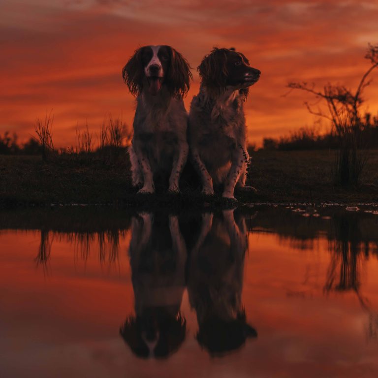 Woz Keep Photography